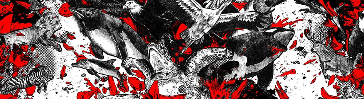 artist cover