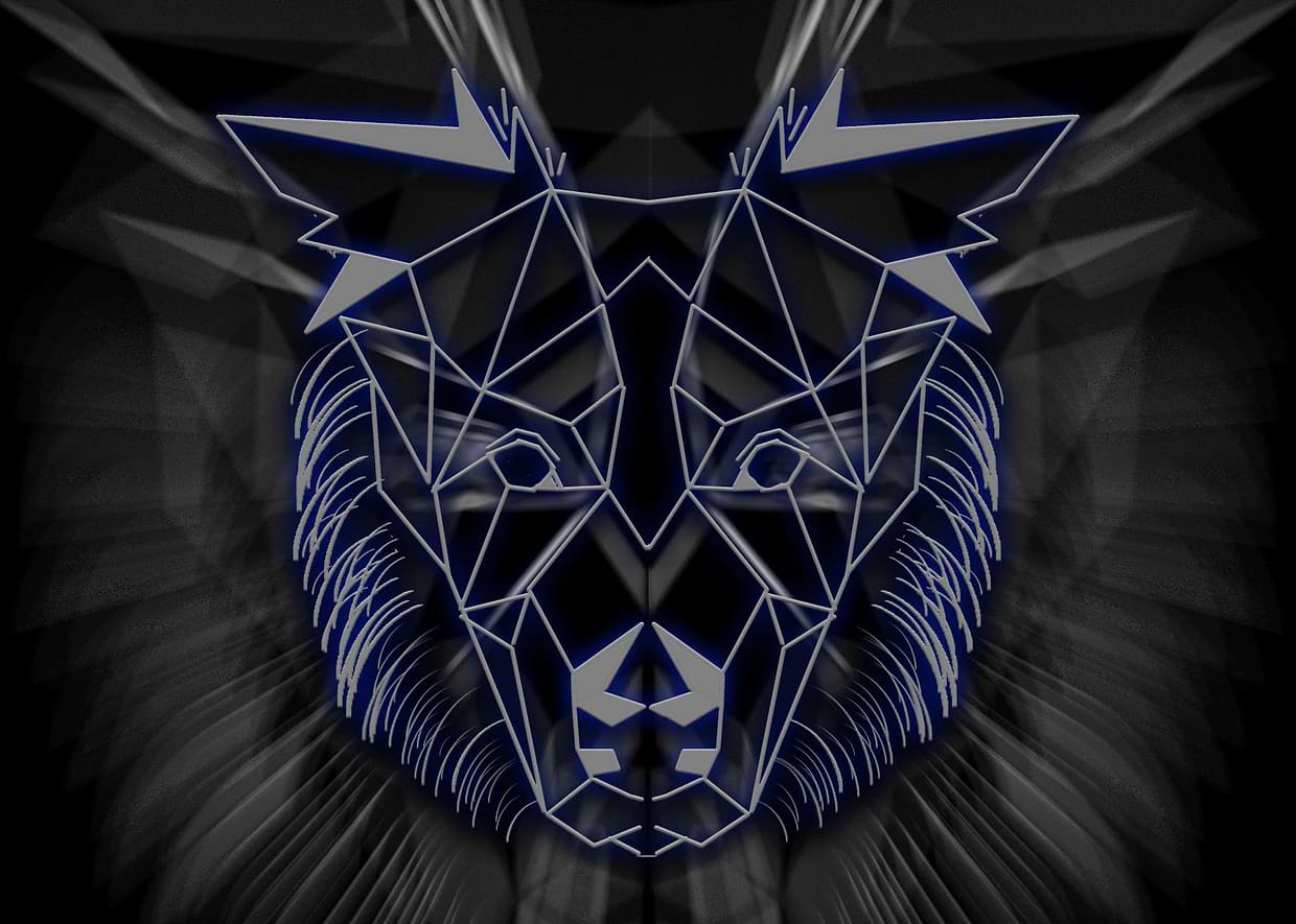 artist cover