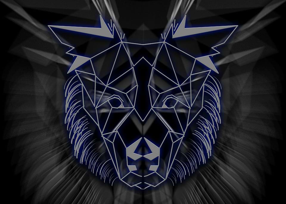 artist cover