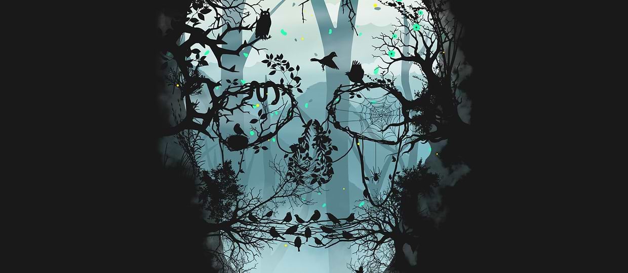 artist cover