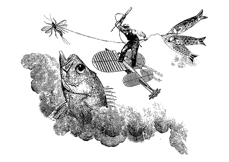 artist cover