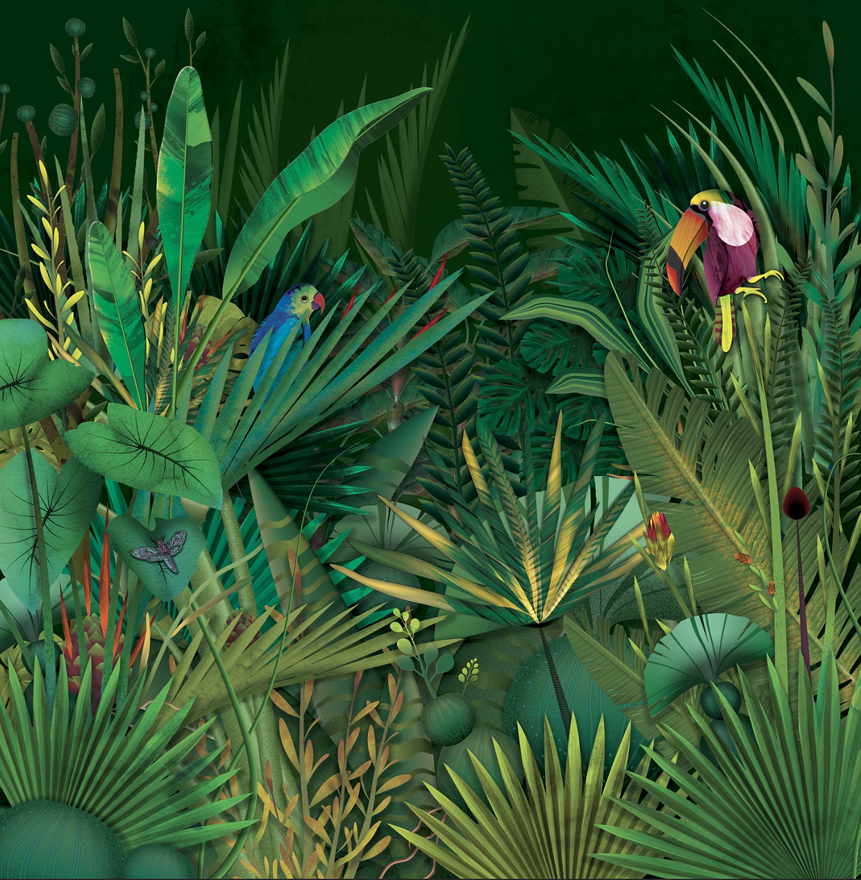 artist cover