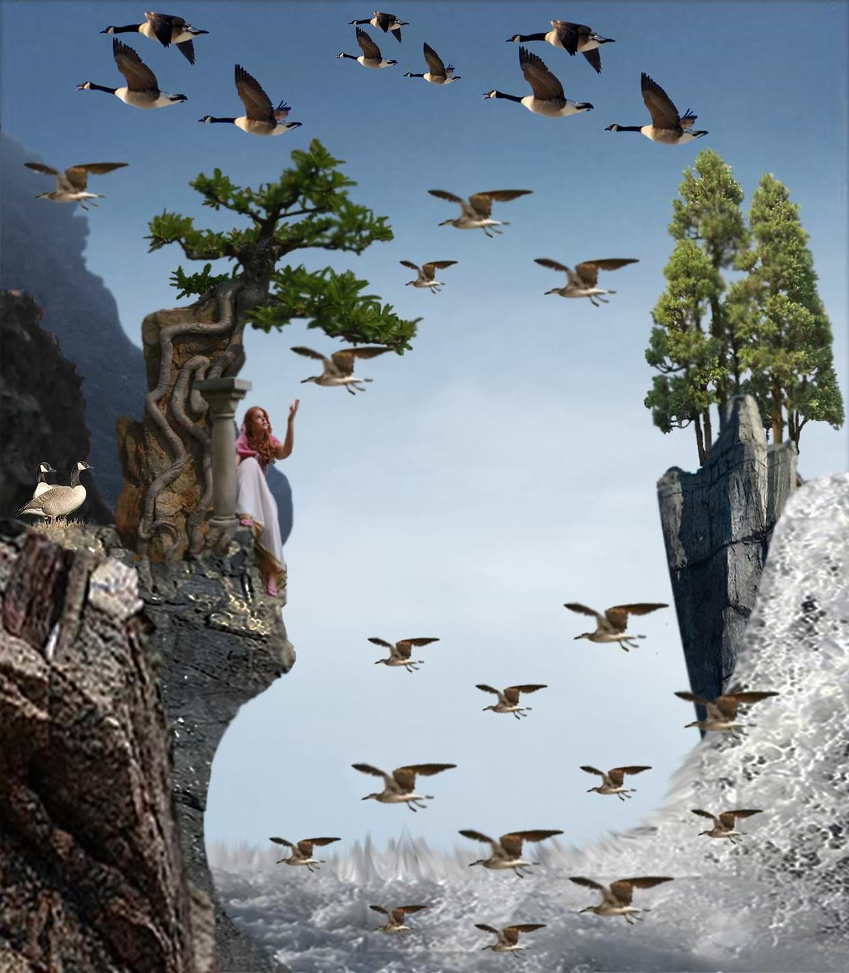 artist cover