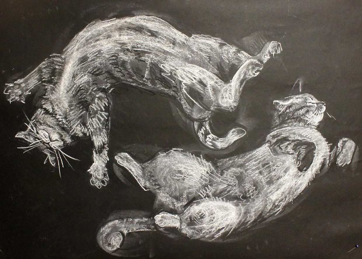 artist cover