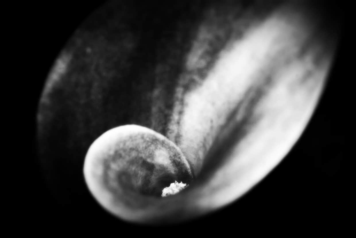 artist cover