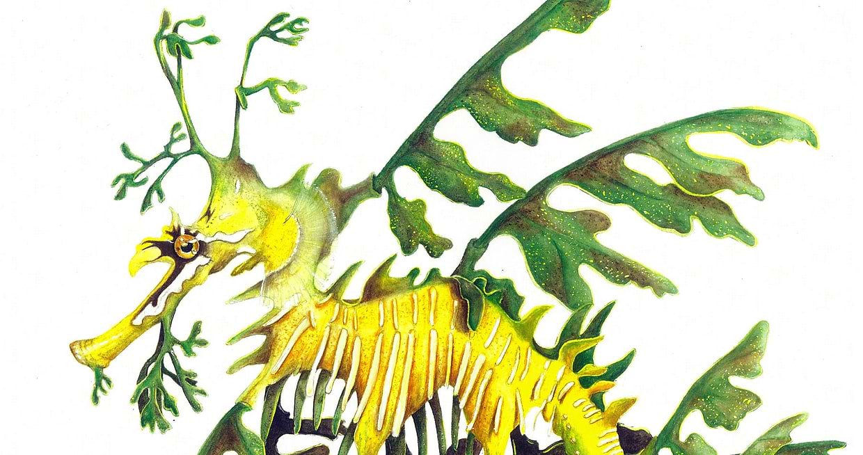 artist cover