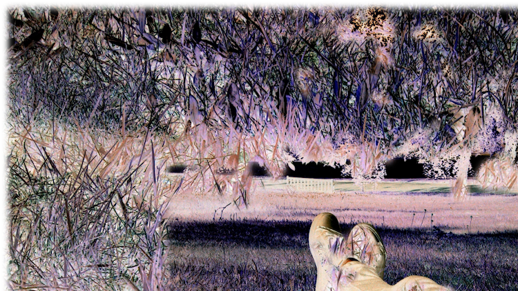 artist cover