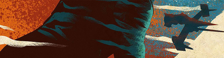 artist cover