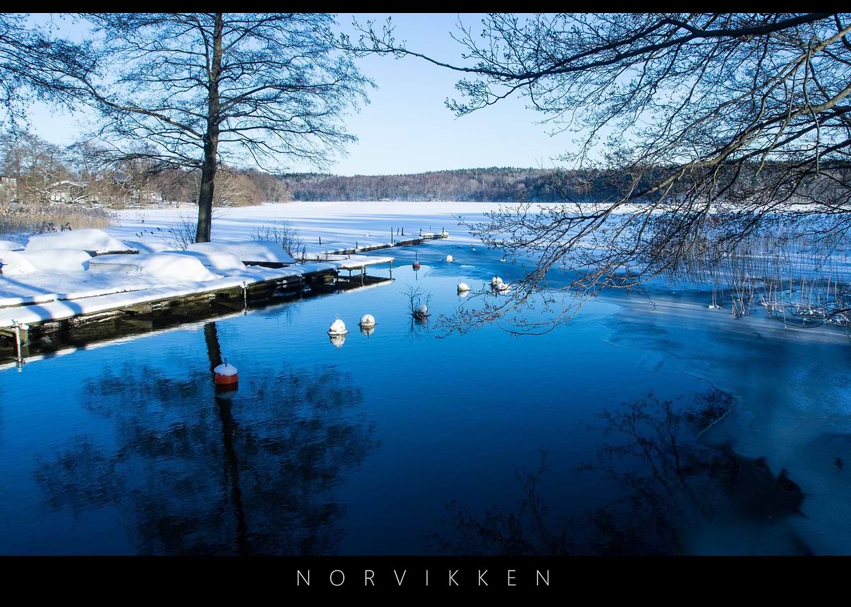 artist cover