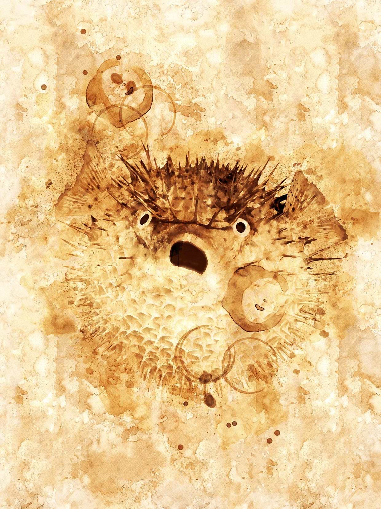 artist cover