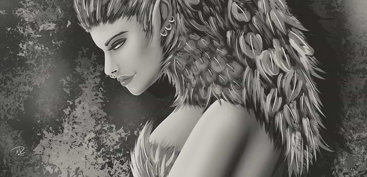 artist cover