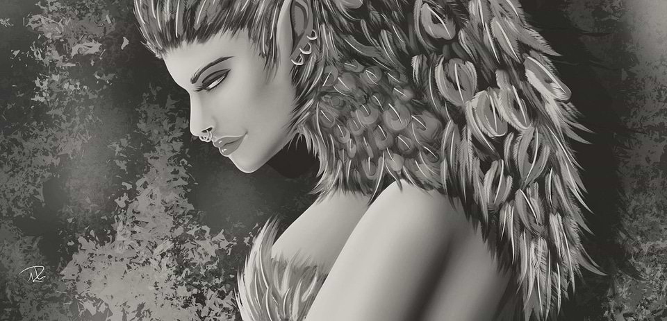 artist cover