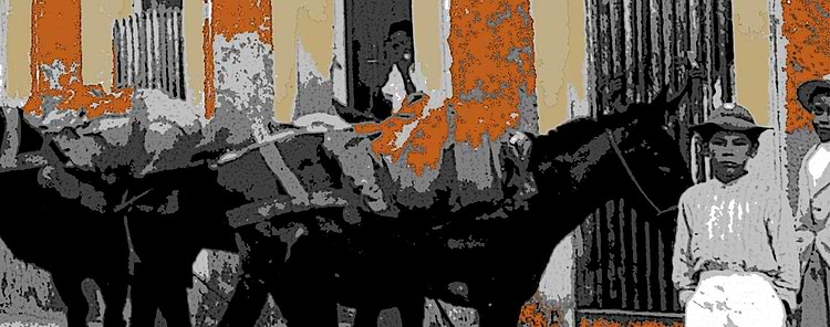 artist cover