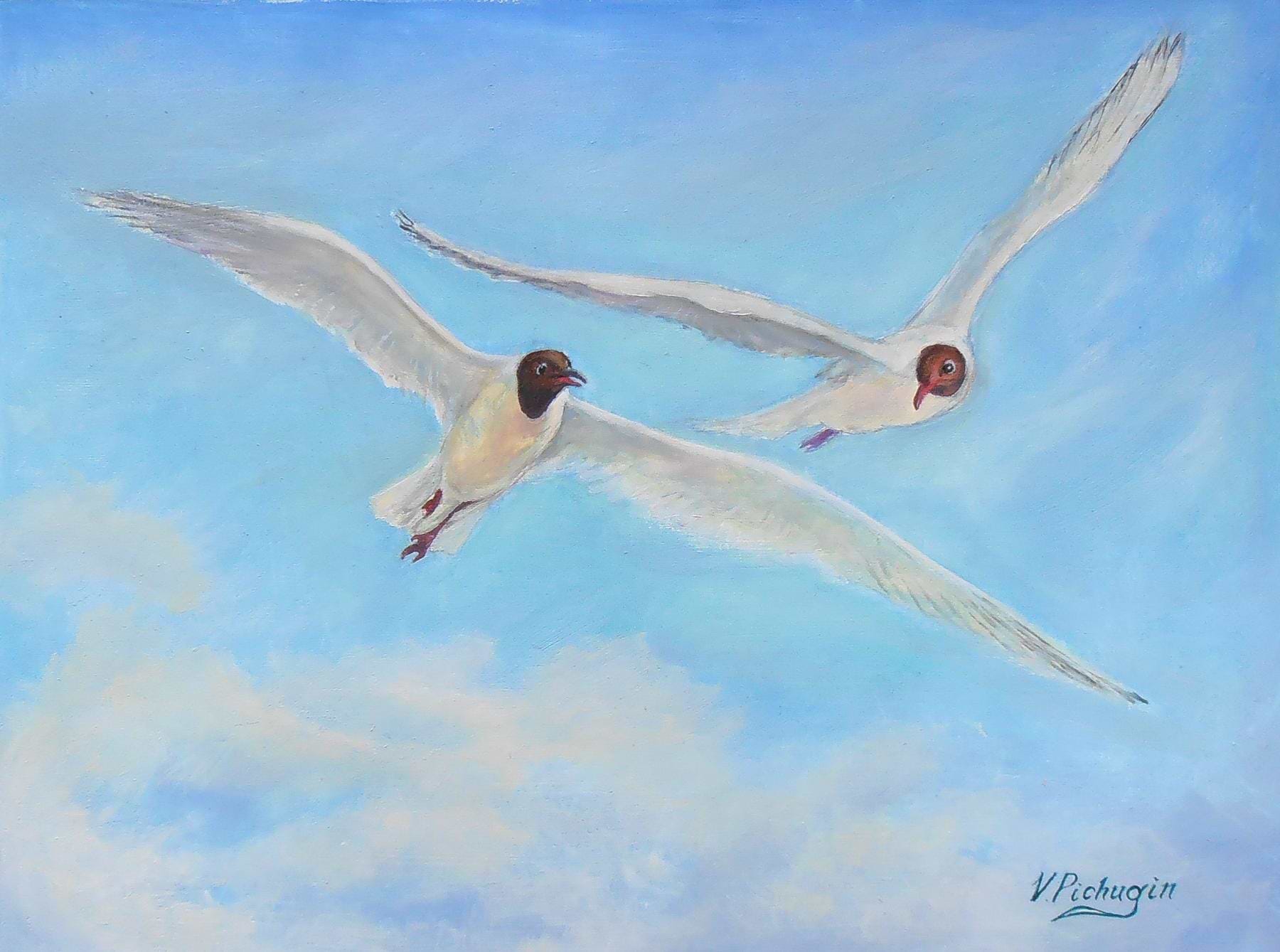 artist cover