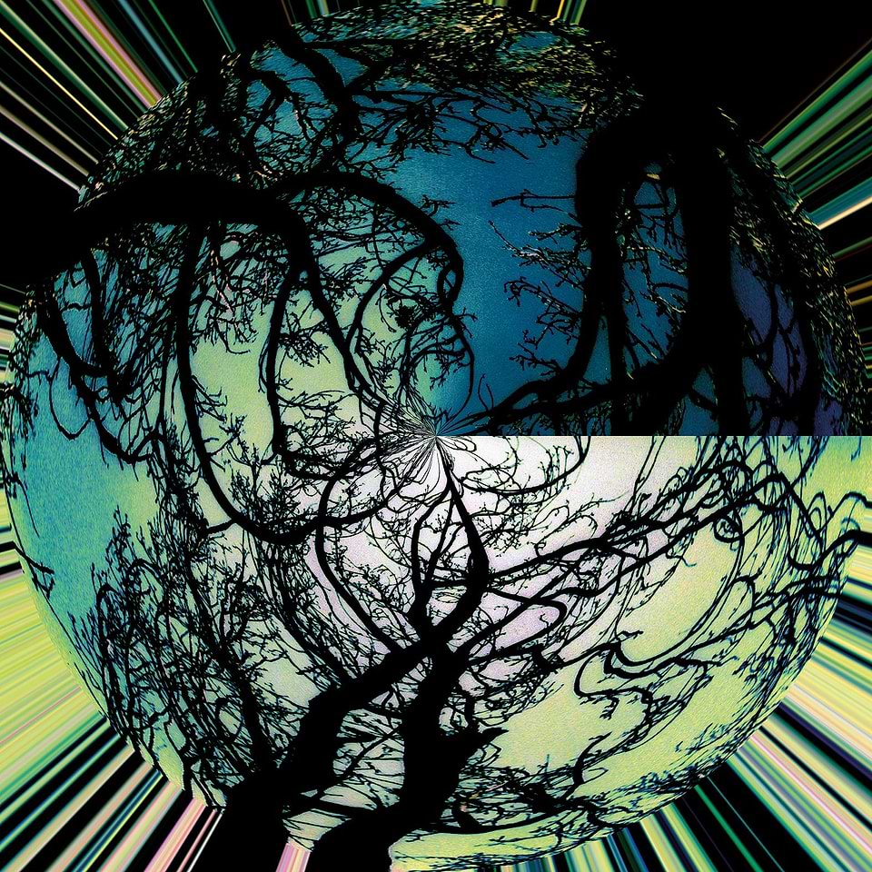artist cover
