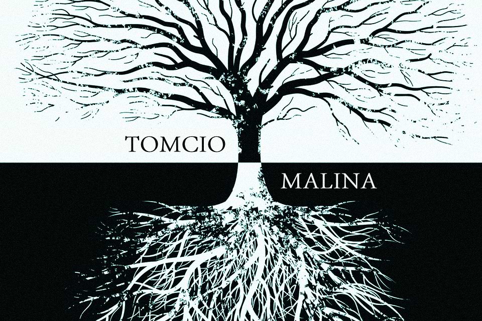 artist cover