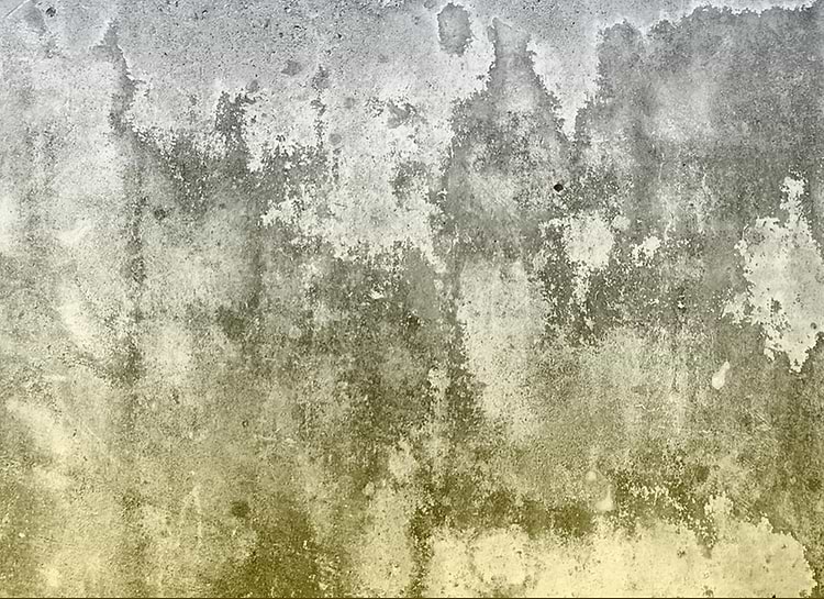 artist cover