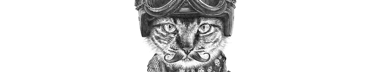 artist cover