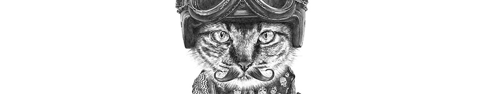 artist cover