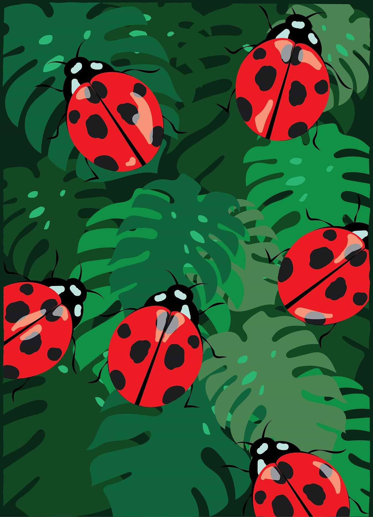 artist cover