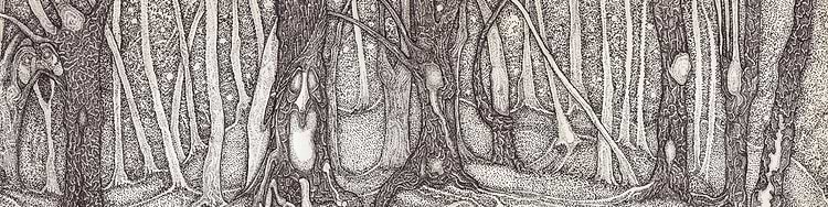 artist cover