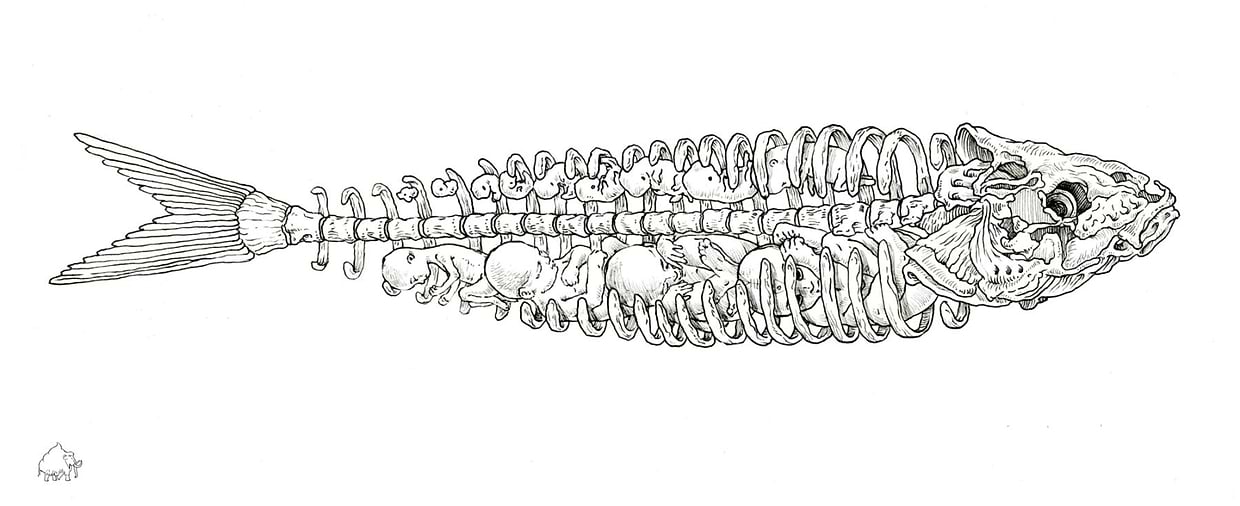 artist cover