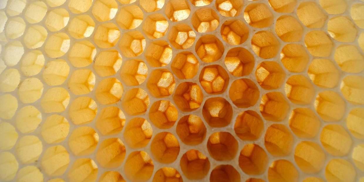 artist cover