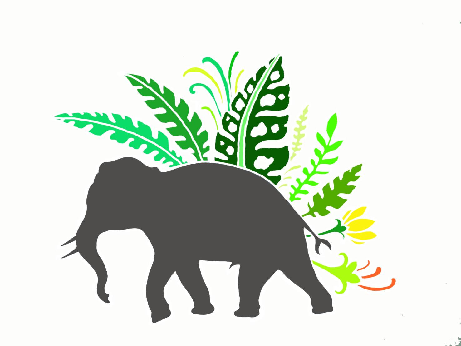 artist cover