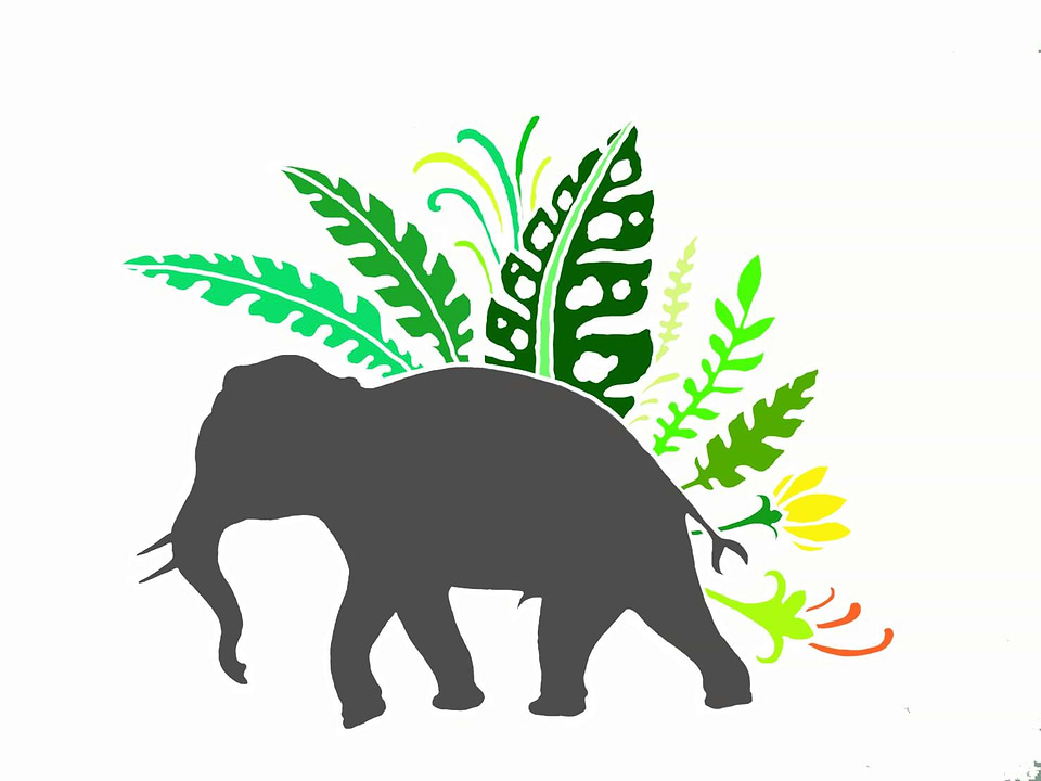 artist cover