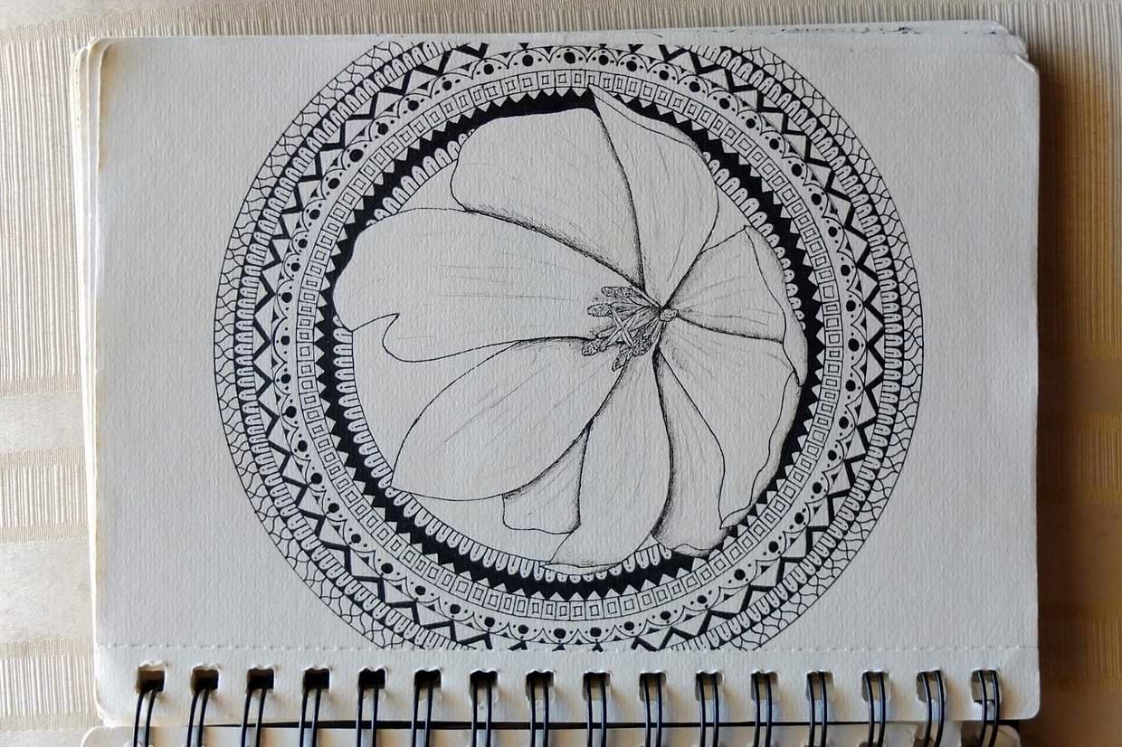 artist cover