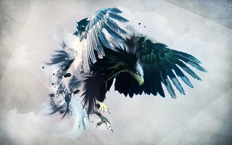artist cover