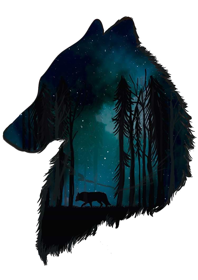artist cover