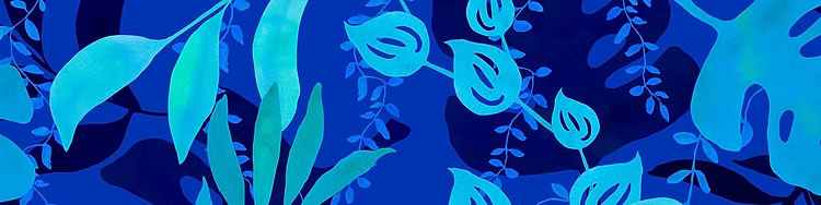 artist cover