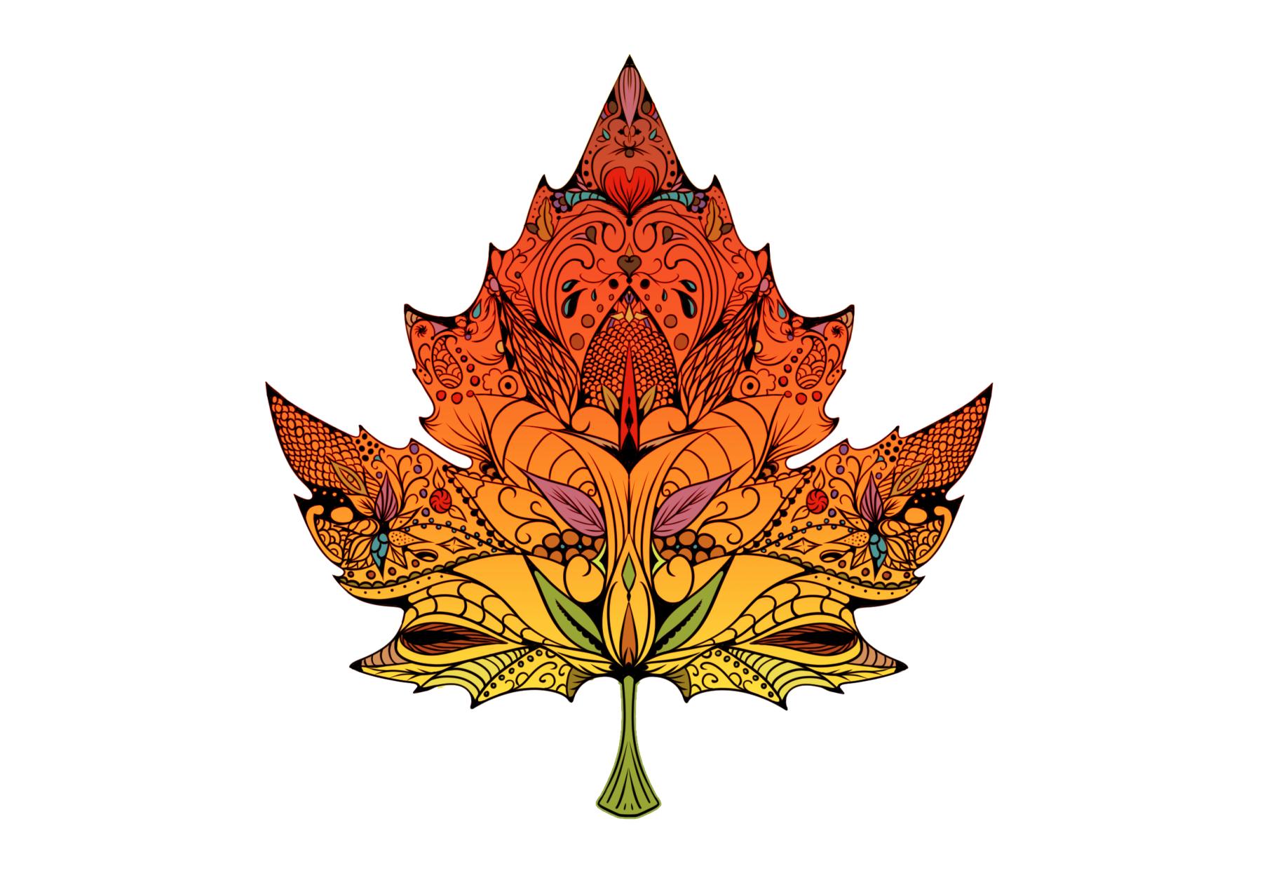 artist cover