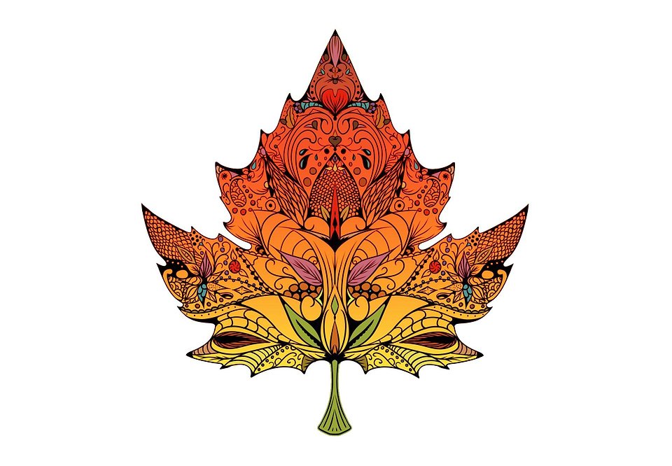 artist cover