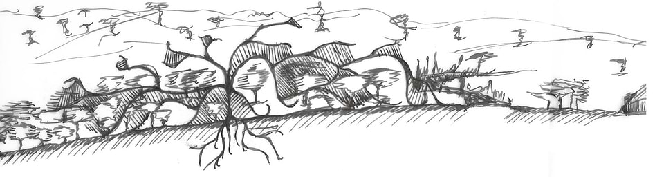 artist cover