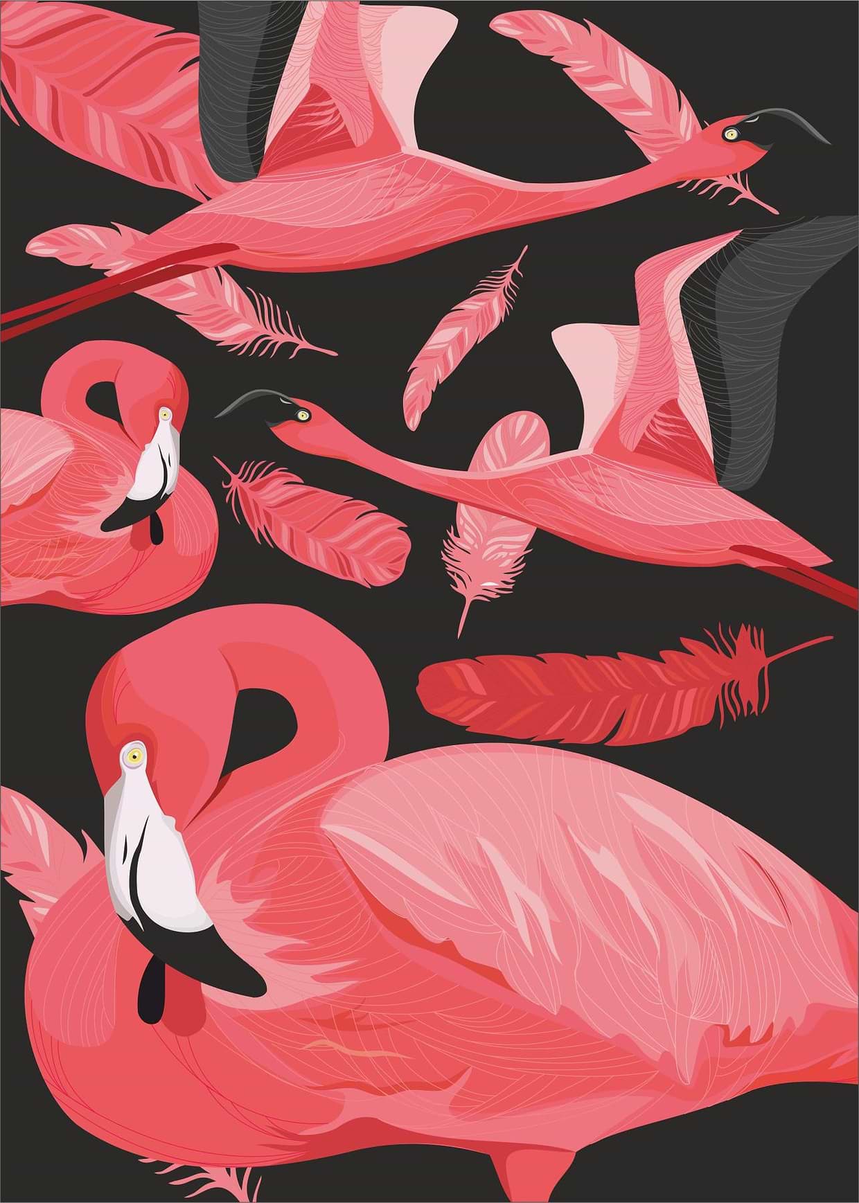 artist cover