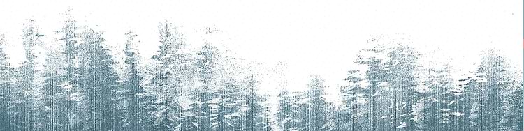 artist cover