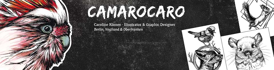 artist cover