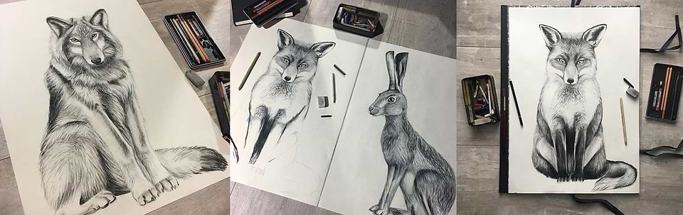 artist cover