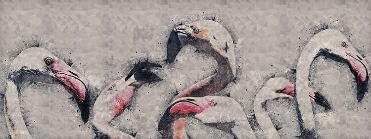 artist cover