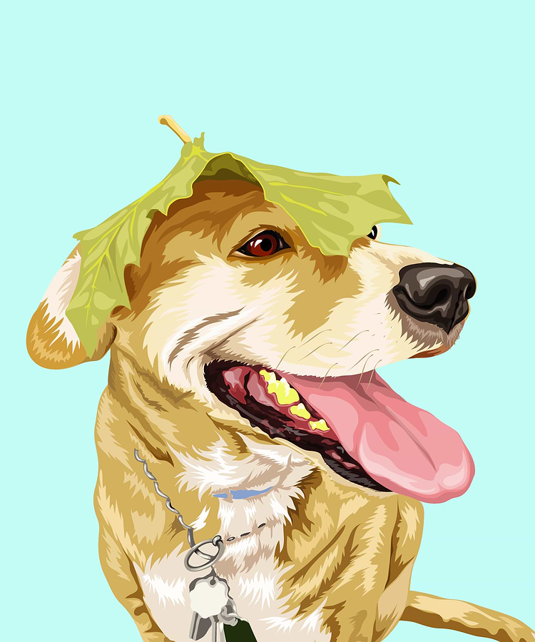 artist cover