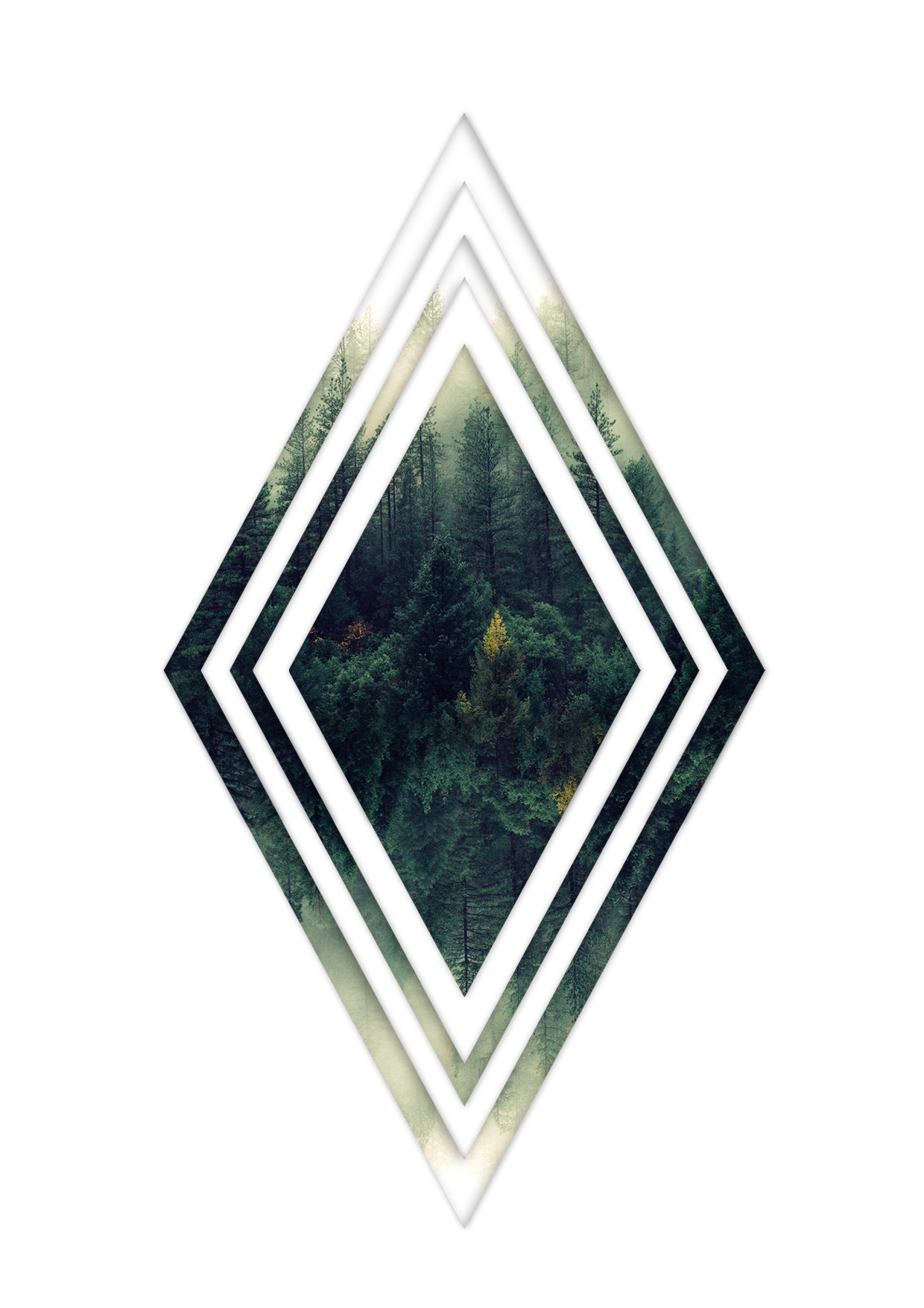 artist cover