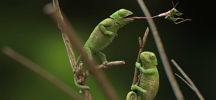 artist cover