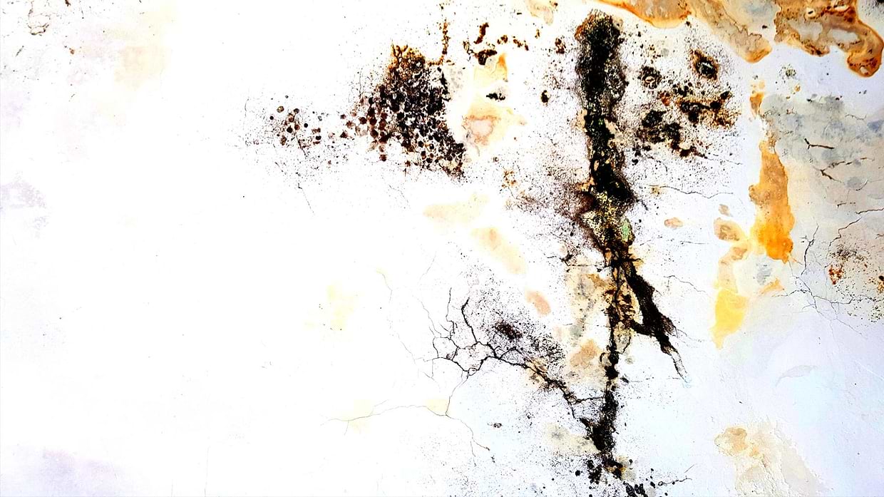 artist cover