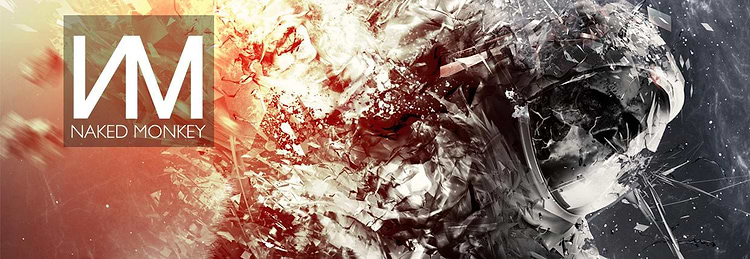 artist cover