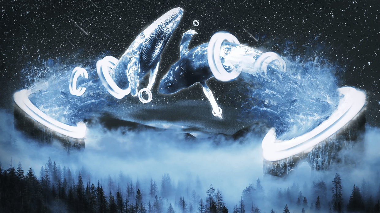 artist cover