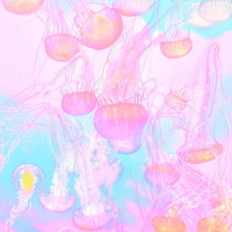 artist cover