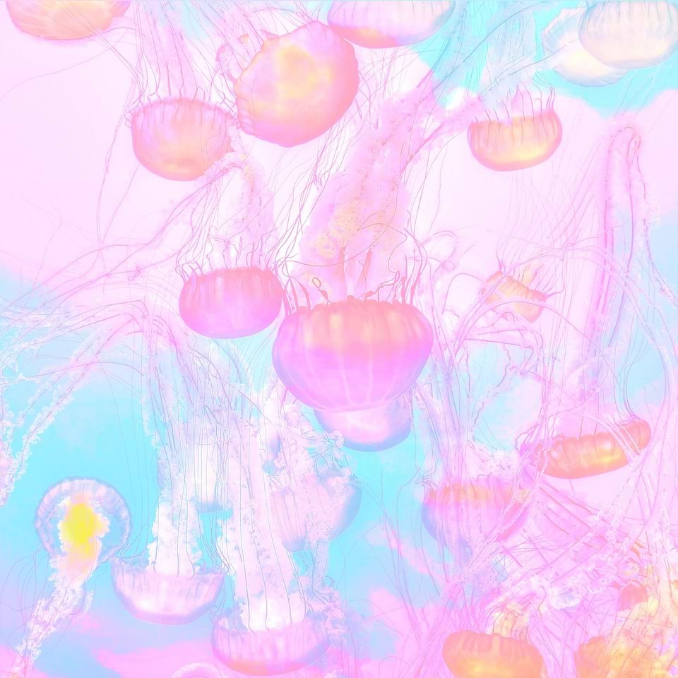 artist cover