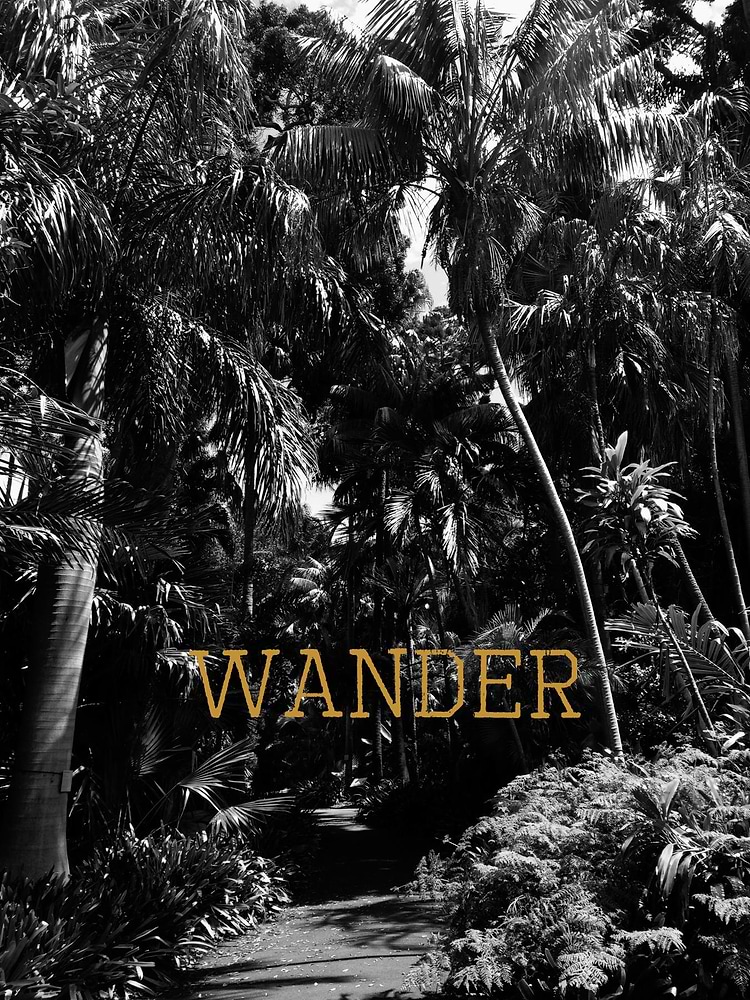 artist cover